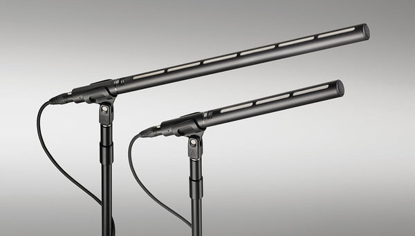 BP28 Shotgun Mic Condenser Line+Gradient