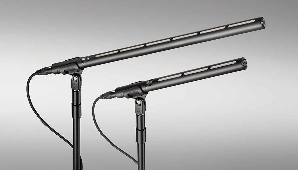 BP28 Shotgun Mic Condenser Line+Gradient